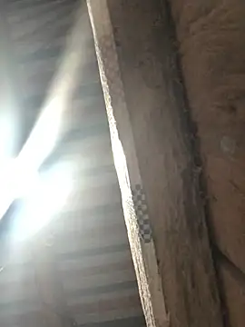 bae-asian online show from April 8, 9:49 pm