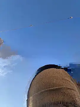 Big German cock974 online show from December 21, 1:46 pm