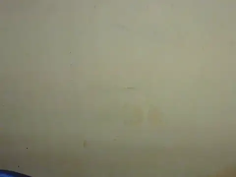 Exotic tanvi online show from February 19, 4:15 pm