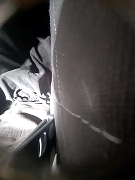 Snapshot of Shank599 chatting on February 9, 3:04 am Shank599 online show from February 9, 3:04 am