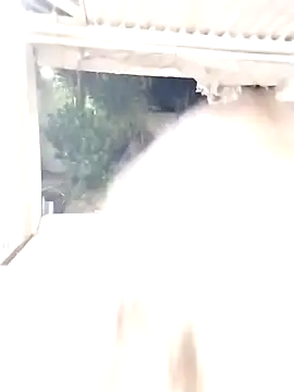 SexyAssQueenX online show from January 14, 2:15 am