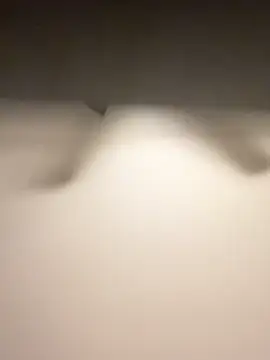 Lassie Cassie online show from February 3, 5:05 am