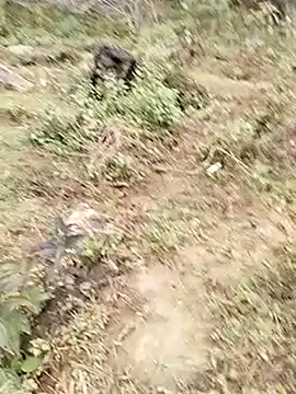 neko-nancy online show from January 7, 7:57 am