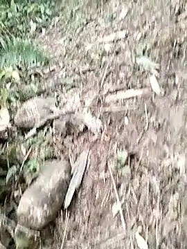 neko-nancy online show from January 14, 3:10 am