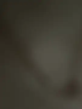 rahul ss21 online show from February 25, 6:19 pm