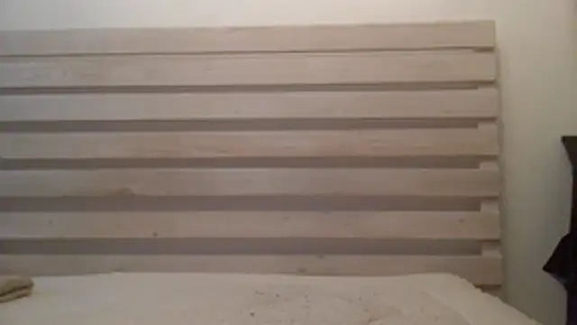 Palinchik online show from March 12, 1:48 pm