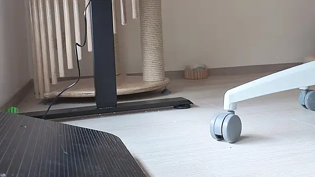 Feetbeth online show from February 6, 7:21 pm