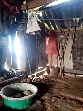 little-effy online show from March 23, 1:06 am