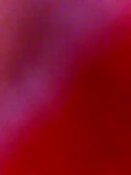 nosrat014 online show from February 2, 9:41 am