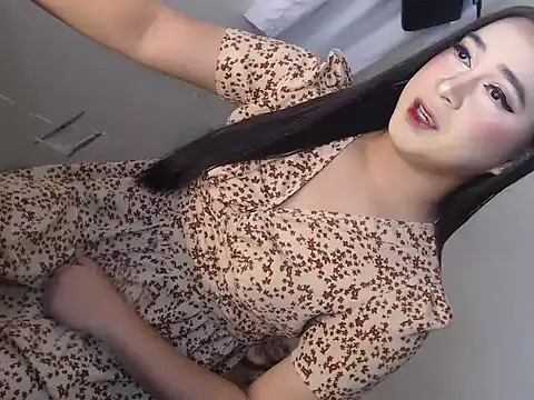 camelastarsairo online show from January 11, 5:47 am