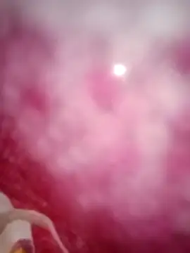 Snapshot of kusbu0077 chatting on February 19, 8:00 am kusbu0077 online show from February 19, 8:00 am