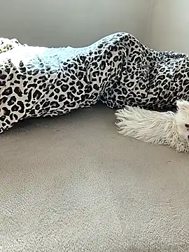 Snapshot of tenifer chatting on December 15, 9:26 am tenifer online show from December 15, 9:26 am