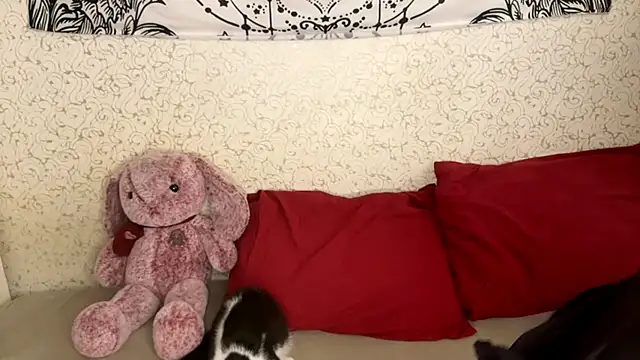 Shining Robi online show from December 18, 12:09 pm