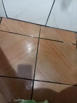 DGG38 online show from March 17, 12:41 pm