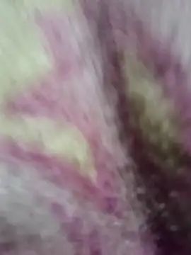 Snapshot of Lovely_priya1001 chatting on December 14, 7:30 pm Lovely priya1001 online show from December 14, 7:30 pm