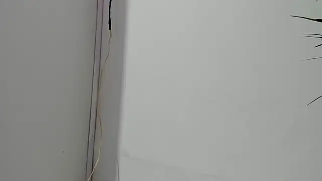 sebastamayo  online show from February 26, 5:07 am