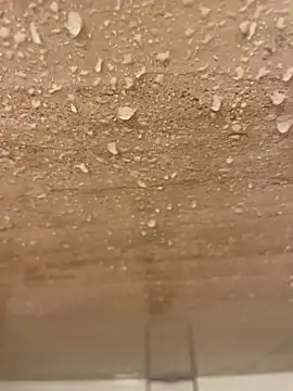 junieel online show from December 16, 11:25 am