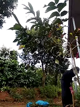 Metting88 online show from December 15, 1:22 am