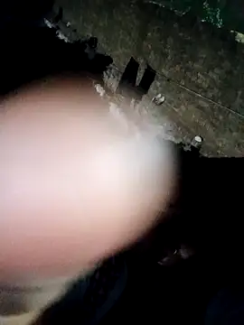 Mahi bigg online show from December 22, 3:45 pm