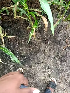 loki-king-143 online show from February 24, 4:02 am