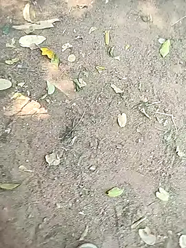 loki-king-143 online show from January 13, 5:55 am