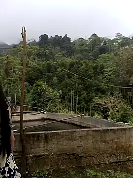  CTMay 77 online show from April 1, 4:03 am