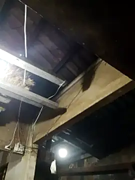  CTMay 77 online show from March 21, 12:31 pm