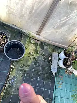 marcoboss online show from January 14, 1:48 pm