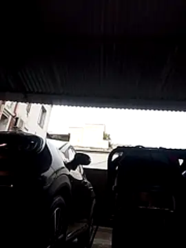 Mar81 online show from December 18, 10:30 am