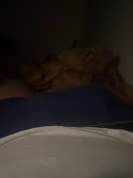 Night outcam online show from December 21, 7:48 pm