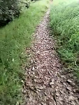 Snapshot of ZarayNero chatting on February 20, 9:50 pm ZarayNero online show from February 20, 9:50 pm