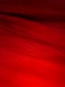 Maya Big55A online show from April 3, 7:53 pm