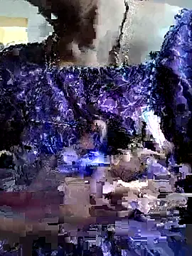 White-Rose-Telugu online show from December 22, 3:17 am