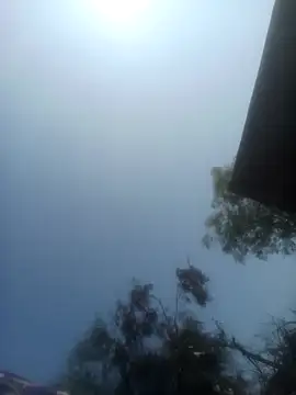 Pinki rajak online show from February 10, 6:23 am