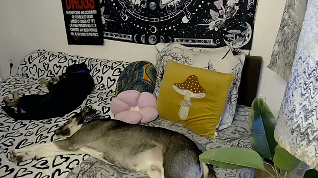 AlienforTwenty online show from February 26, 8:58 am