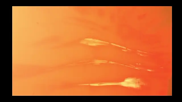 vickvalencia2 online show from February 13, 1:44 pm