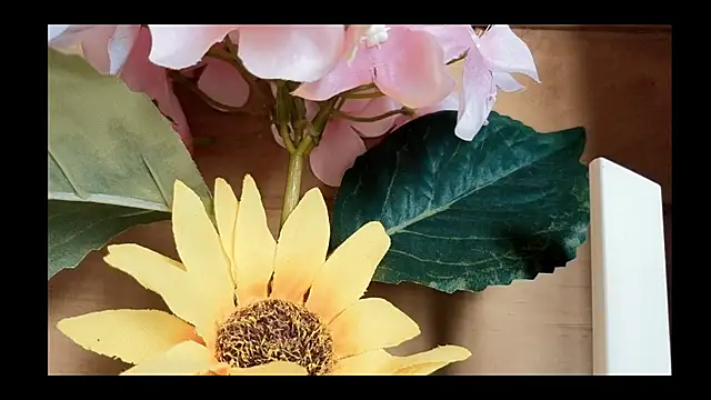 vickvalencia2 online show from May 4, 1:47 pm