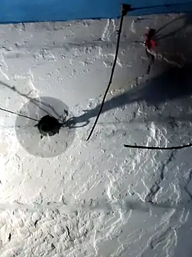 Akanksha soni online show from April 3, 10:43 am