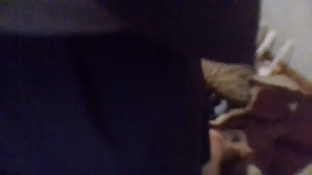Snapshot of givr6inches chatting on April 24, 1:51 am givr6inches online show from April 24, 1:51 am