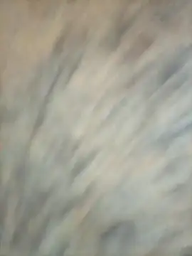 Snapshot of Diegochina chatting on December 13, 8:04 pm Diegochina online show from December 13, 8:04 pm