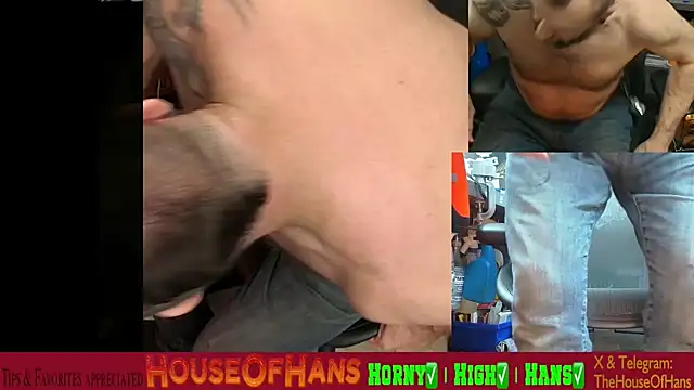 Snapshot of HouseOfHans chatting on February 19, 1:46 am HouseOfHans online show from February 19, 1:46 am