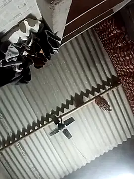 Shreya pandit online show from March 23, 10:31 pm