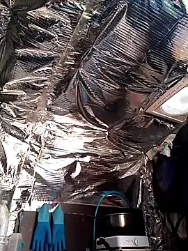 Quebec46 online show from April 15, 10:21 am