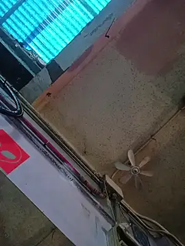 SnappedHagfish online show from April 2, 9:16 am