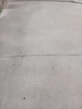 SnappedHagfish online show from June 17, 5:23 pm