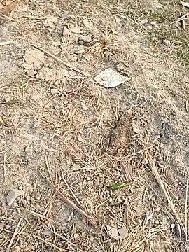 Snapshot of sexloverg7 chatting on December 15, 10:43 am sexloverg7 online show from December 15, 10:43 am