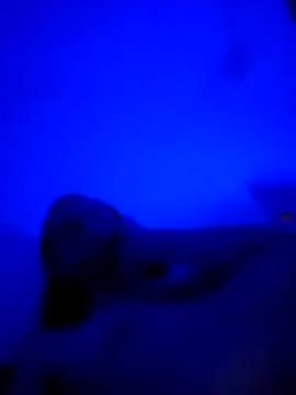 Snapshot of vladopen chatting on January 7, 5:23 am vladopen online show from January 7, 5:23 am