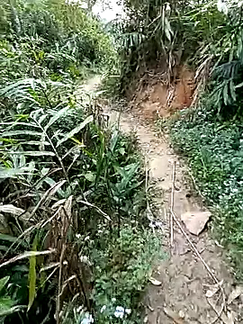 seacyre online show from April 11, 12:29 am