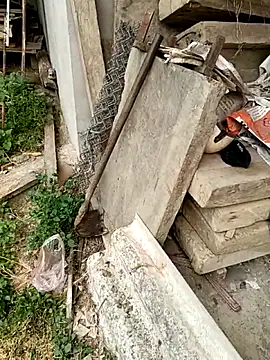 seacyre online show from April 15, 12:38 am