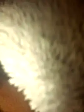 Snapshot of micaela691 chatting on December 16, 9:08 pm micaela691 online show from December 16, 9:08 pm